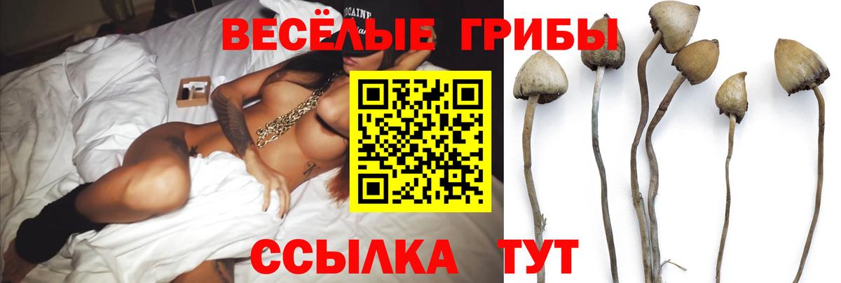 Галлюциногенные грибы прущие грибы Пенза